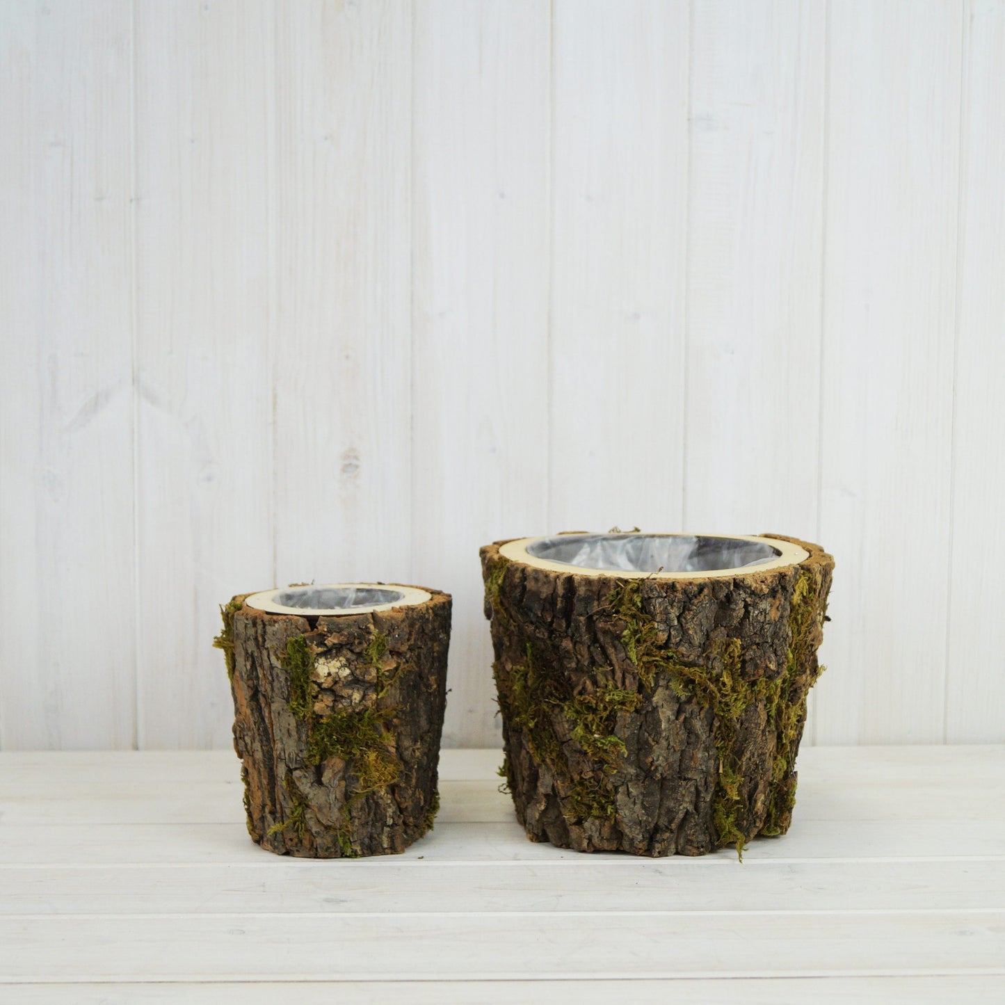 Set of Two Round Mossed Bark Wooden Pots