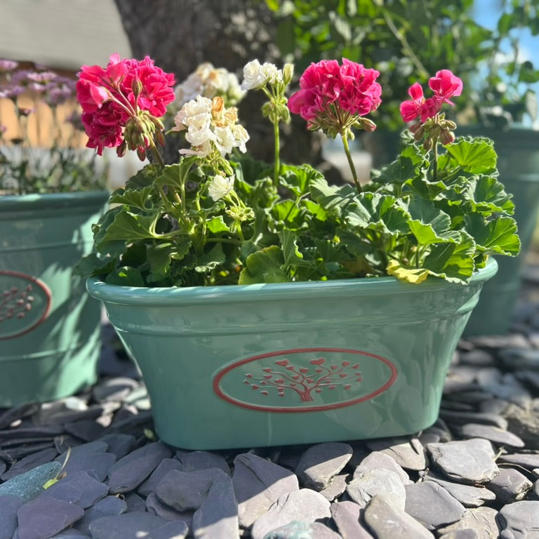 Green Round Love Heart Tree Planters