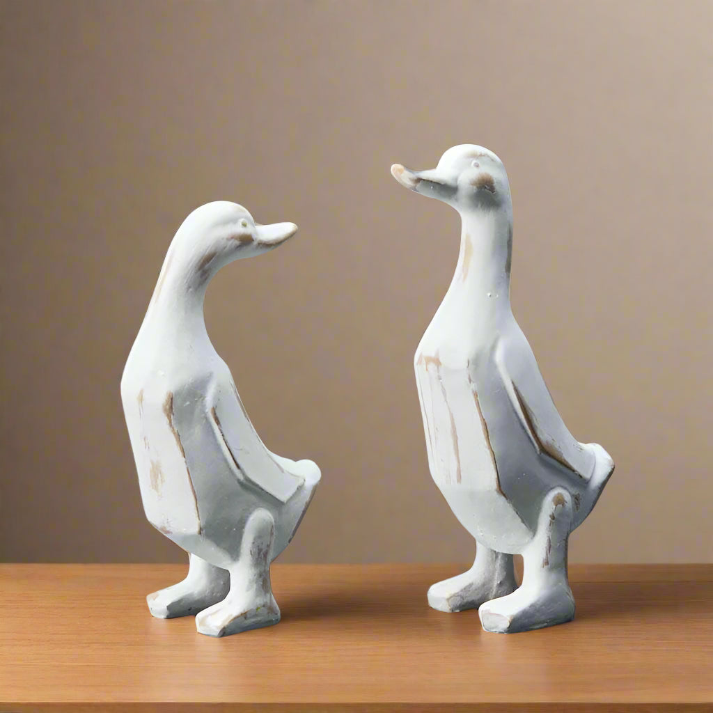 Mixed Large White Ducks