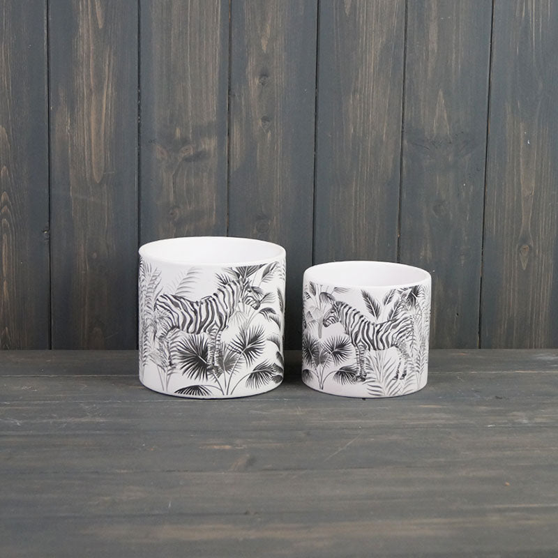 Zebra Pots