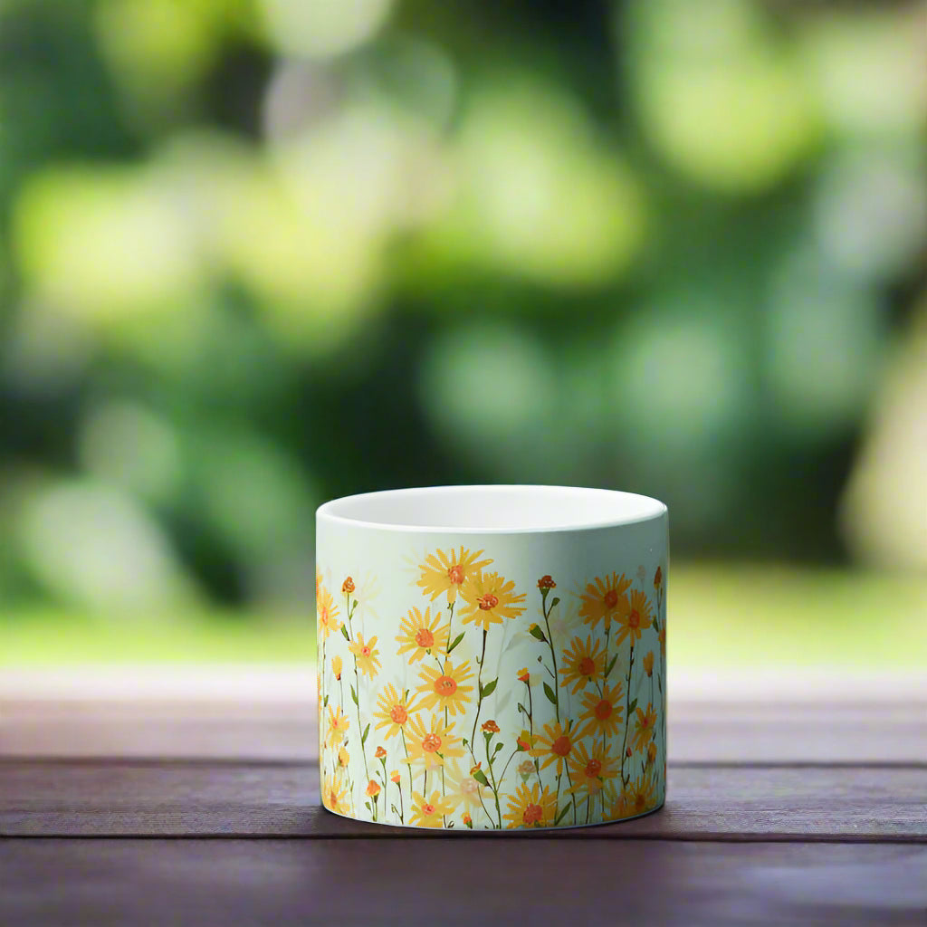 Daisy Field Pots
