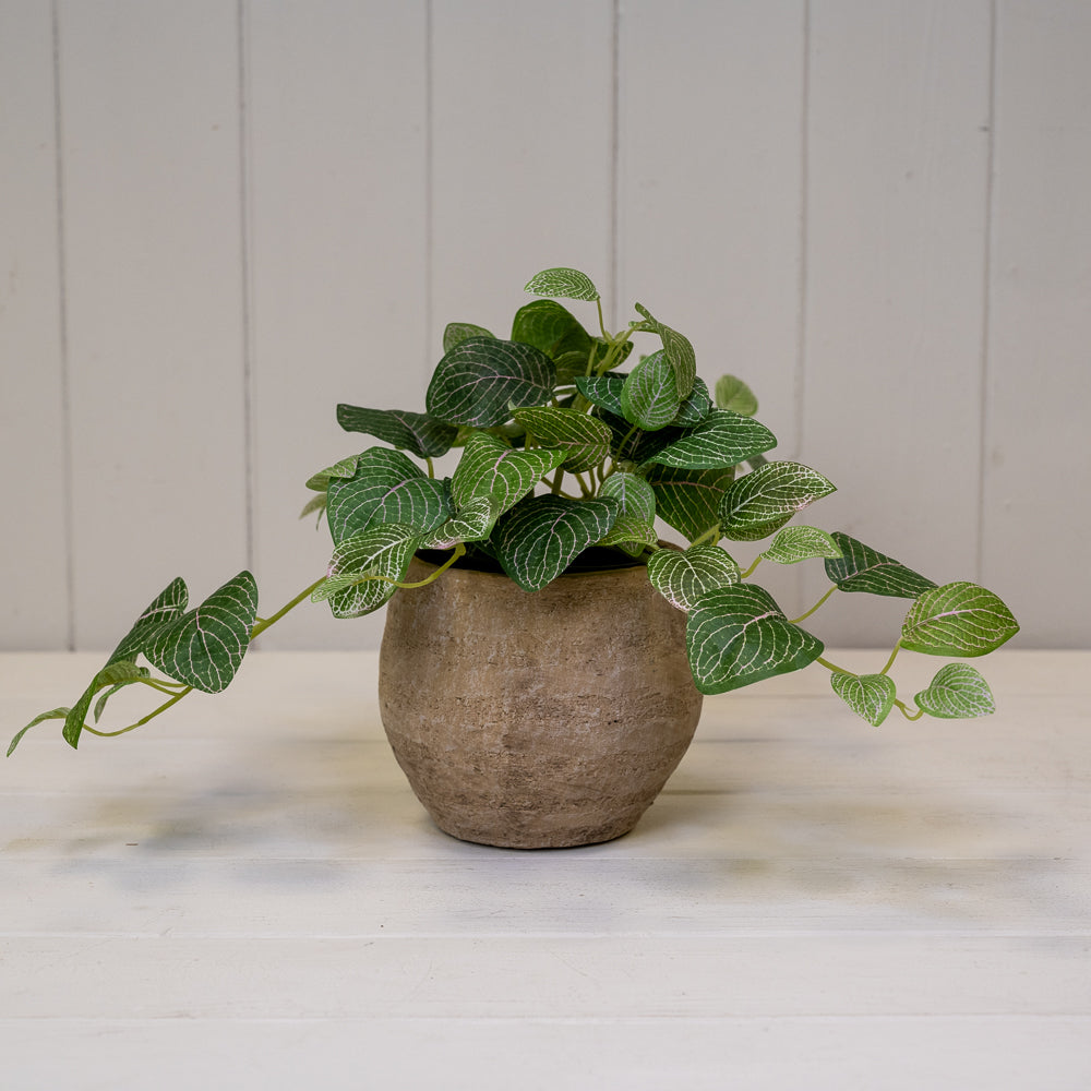 Grey Cement Planters