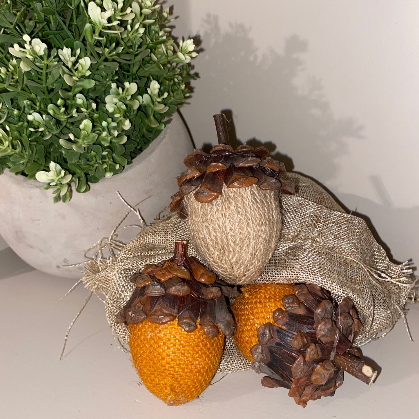 Bag Of Acorns/Pumpkins