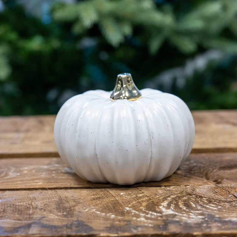 Gold Stem White Pumpkin