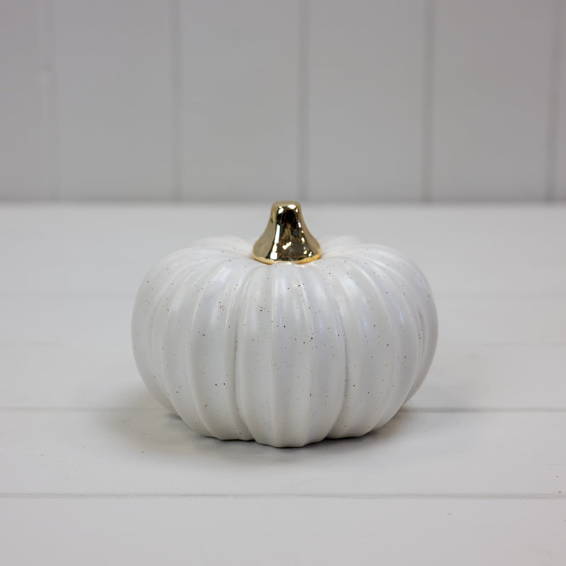 Gold Stem White Pumpkin
