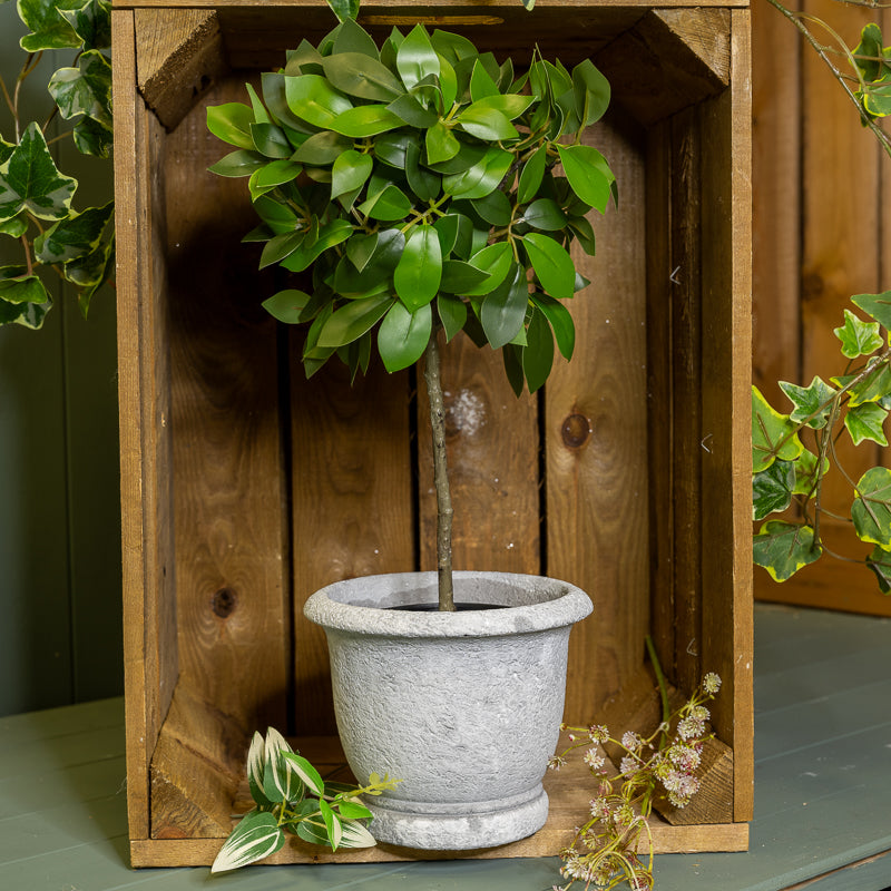 Wash Grey Cement Pots