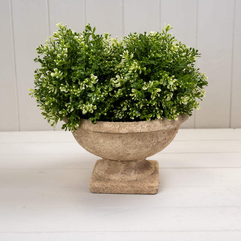 Clay Cement Pots