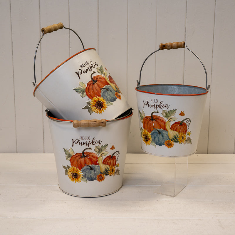 'Hello Pumpkin' Zinc Buckets