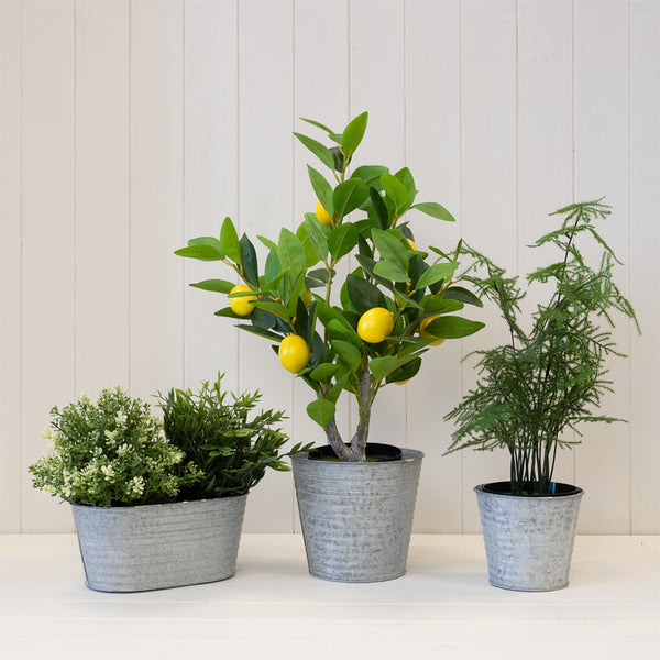 Aged Zinc Planter