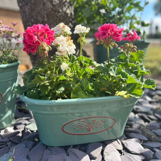 Round Love Heart Tree Trough Planter