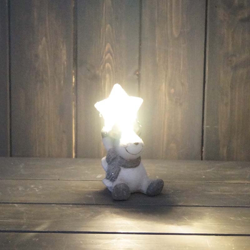 Reindeer Holding Light Up Star