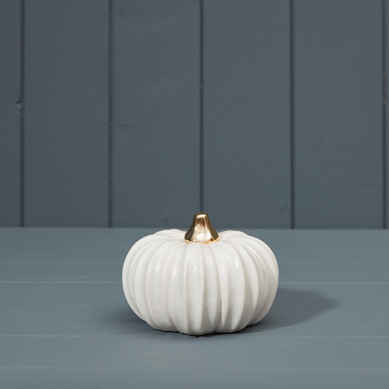 Gold Stem White Pumpkin