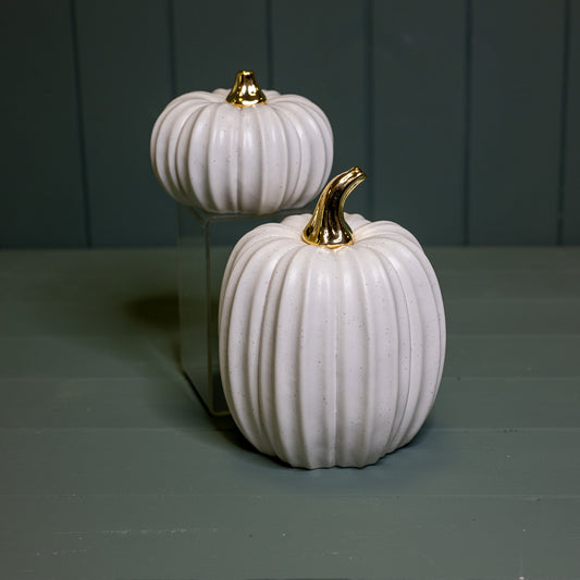 Gold Stem White Pumpkin