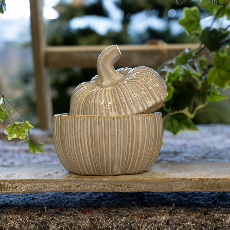 Pumpkin Pot with Lid