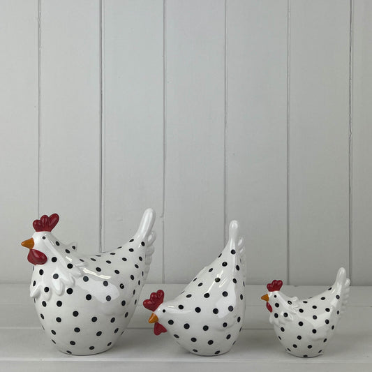 White Dotty Chicken