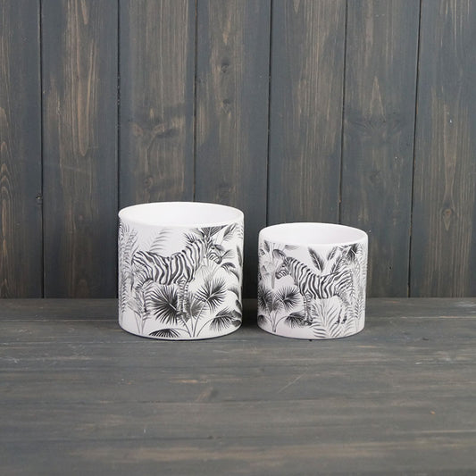 Zebra Pots