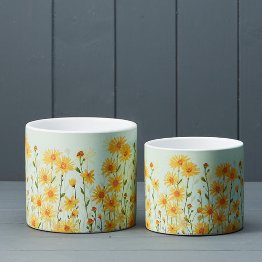 Daisy Field Pots