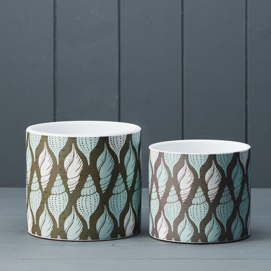 Tulip Shell Pots