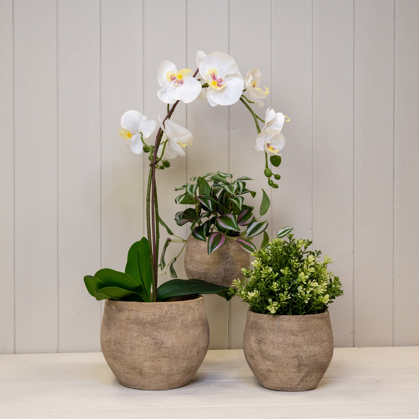 Grey Cement Planters