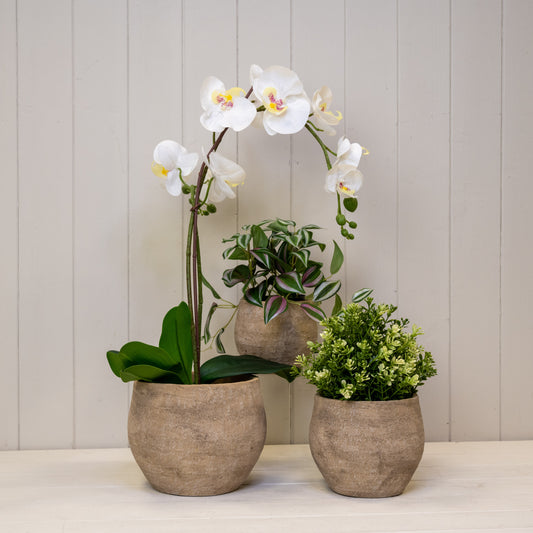 Grey Cement Planters