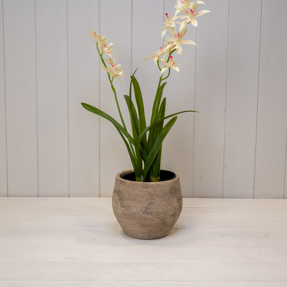 Grey Cement Planter