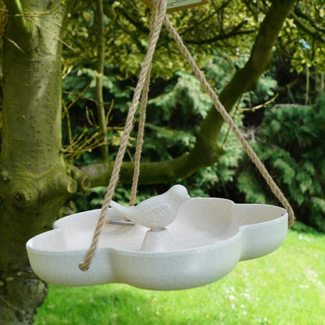 Bamboo Bird Bath/Feeder