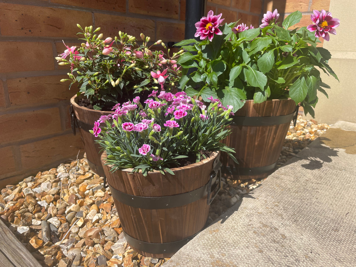 Wooden Barrels