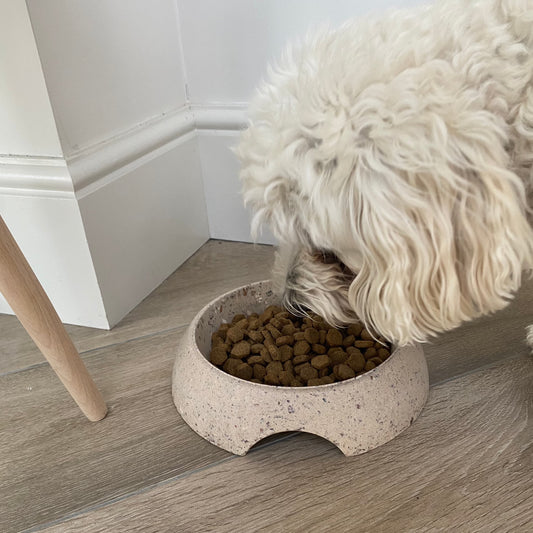 Nut Pet Bowl