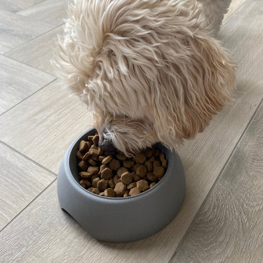 Straw Pet Bowl