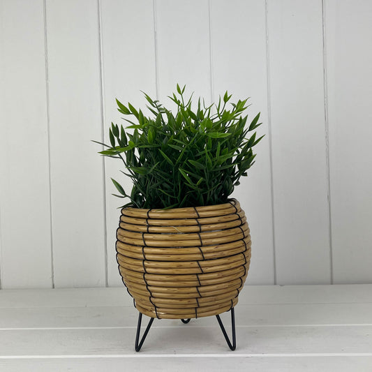 Bulbous Rattan Pot With Legs