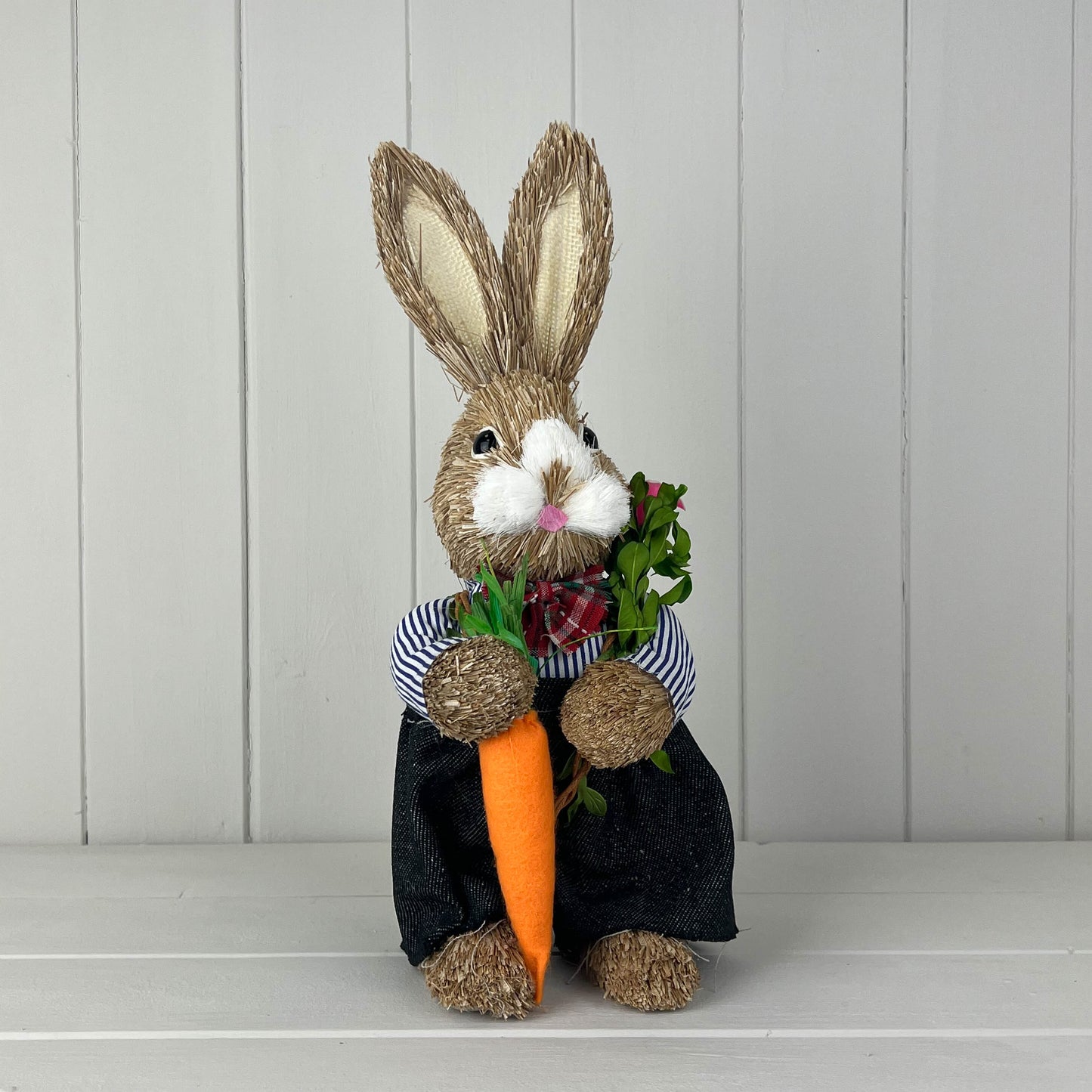 Rabbit Holding A Carrot