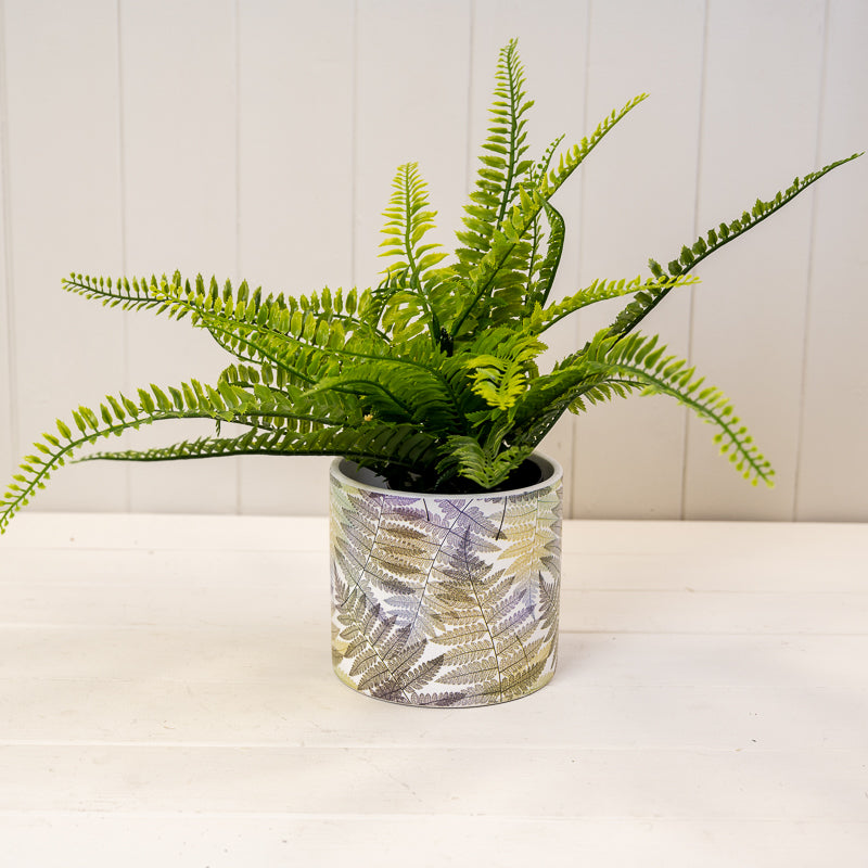 Fern Leaf Pots