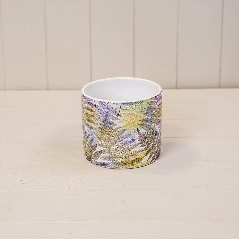 Fern Leaf Pots