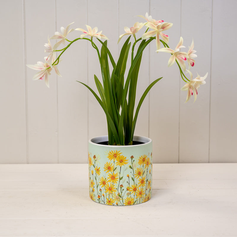 Daisy Field Pots