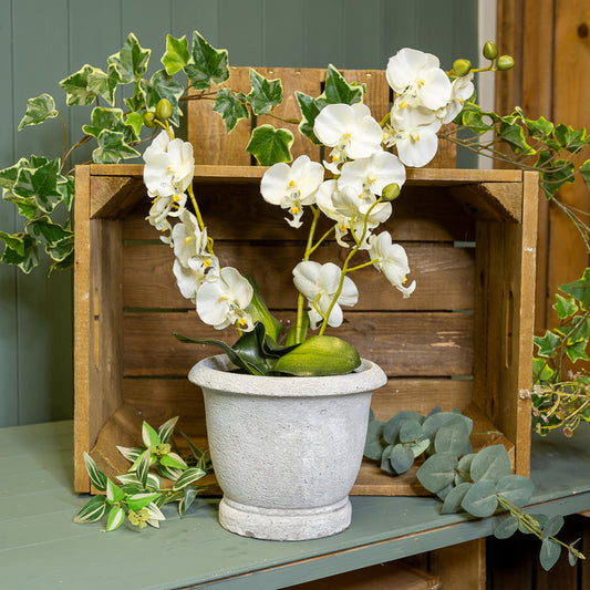 Wash Grey Cement Pots