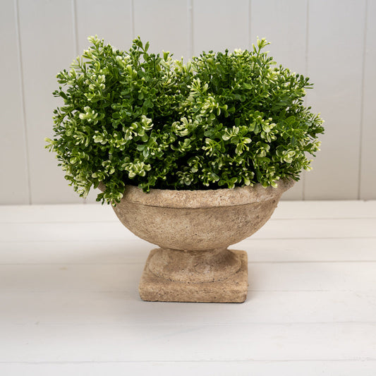 Clay Cement Pots