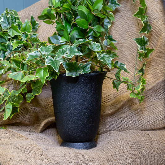Black Cement Pot Collection