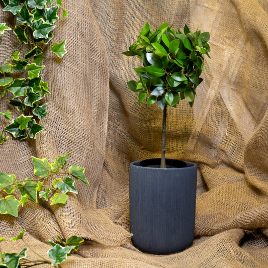 Slate Grey Cylinder Pots