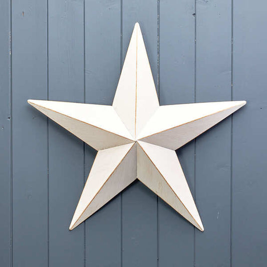 White Metal Star