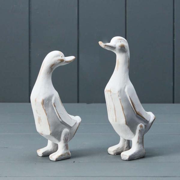 Mixed White Ducks