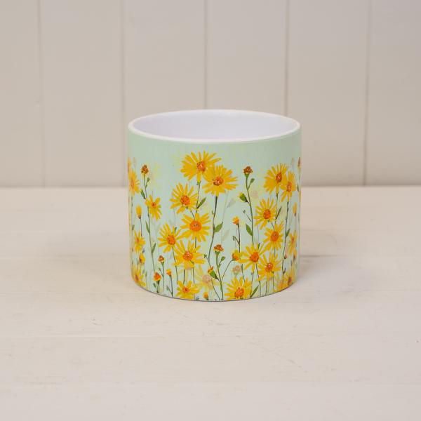 Daisy Field Pots