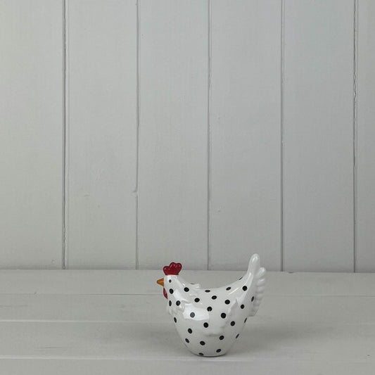 White Dotty Chicken