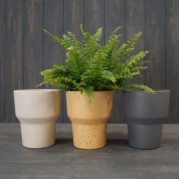 Earthy Natural Bamboo Minimalist Orchid Pot