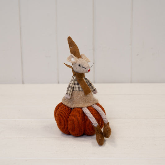 Autumn Mouse sat on Pumpkin