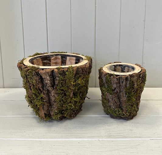Round Mossed Bark Wooden Pots Set