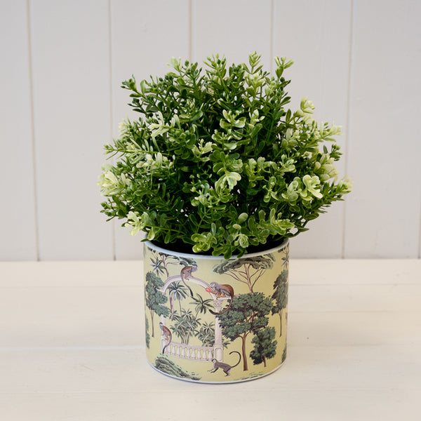 Monkey Pot