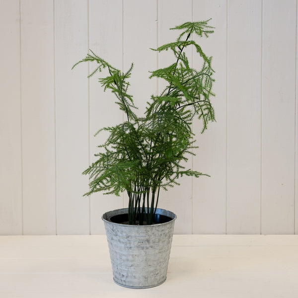 Aged Zinc Planter