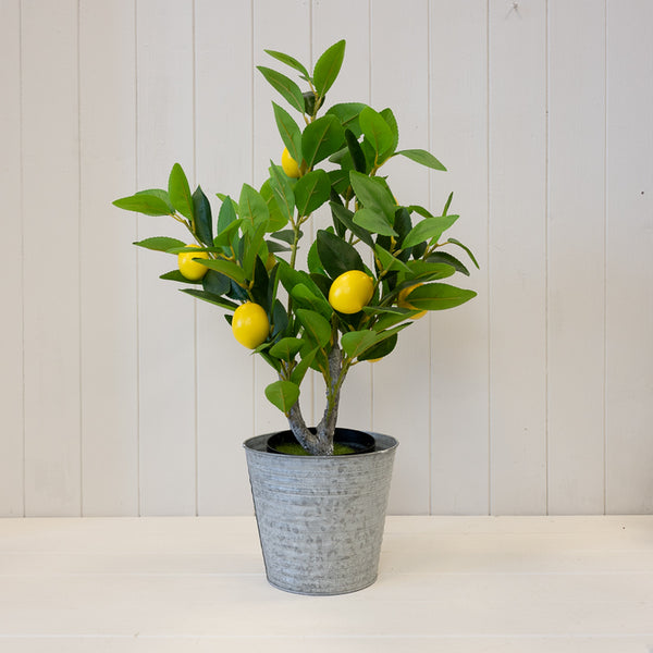 Aged Zinc Planter