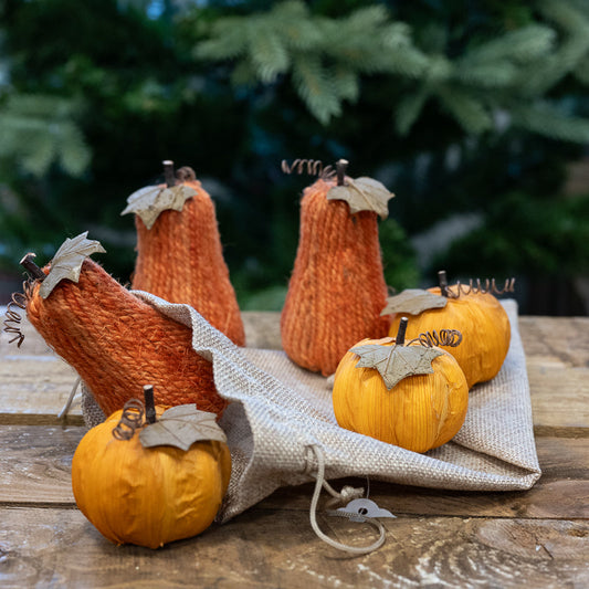 Bag Of Acorns/Pumpkins